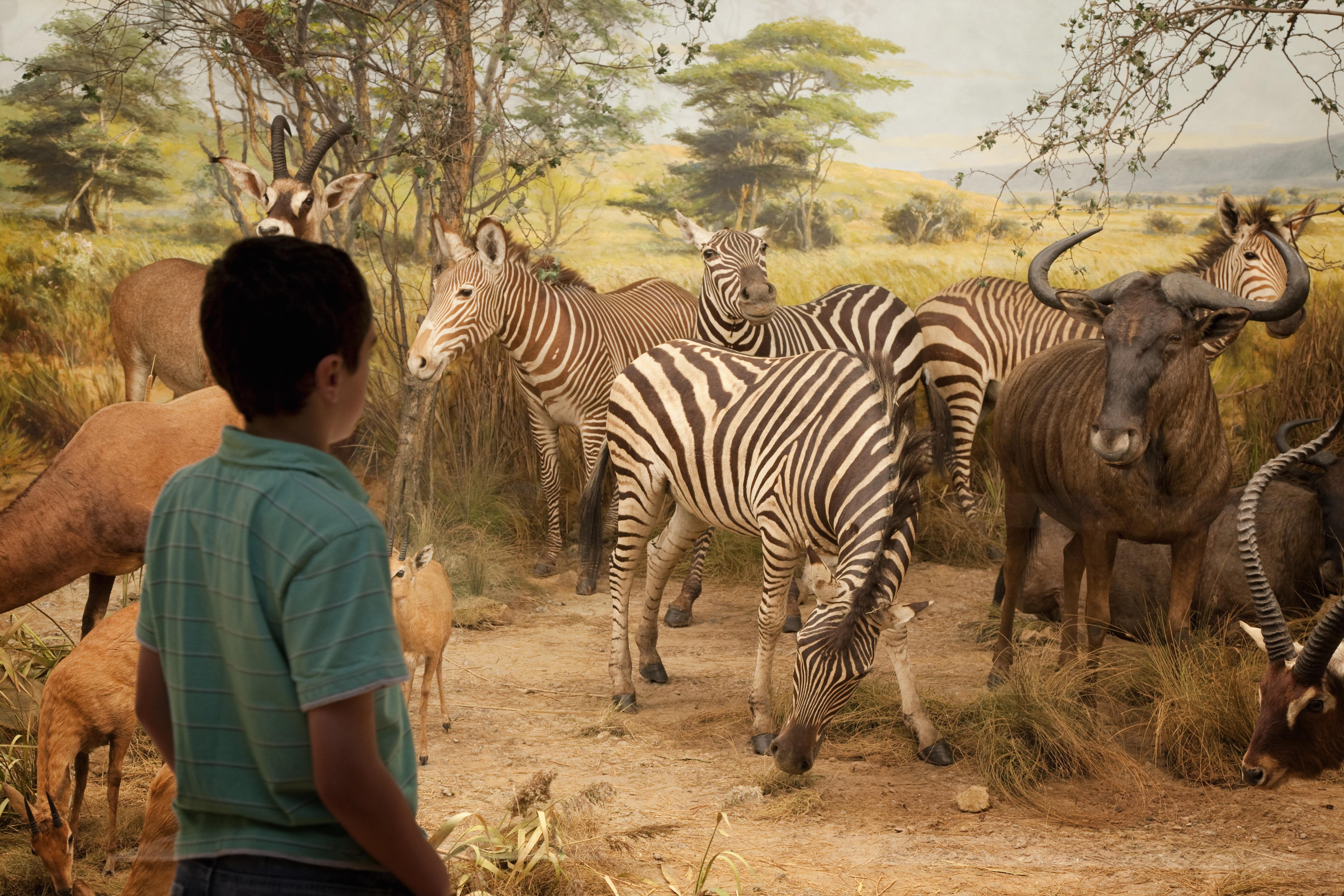 VB Quex Diorama- Rainy Days.jpg