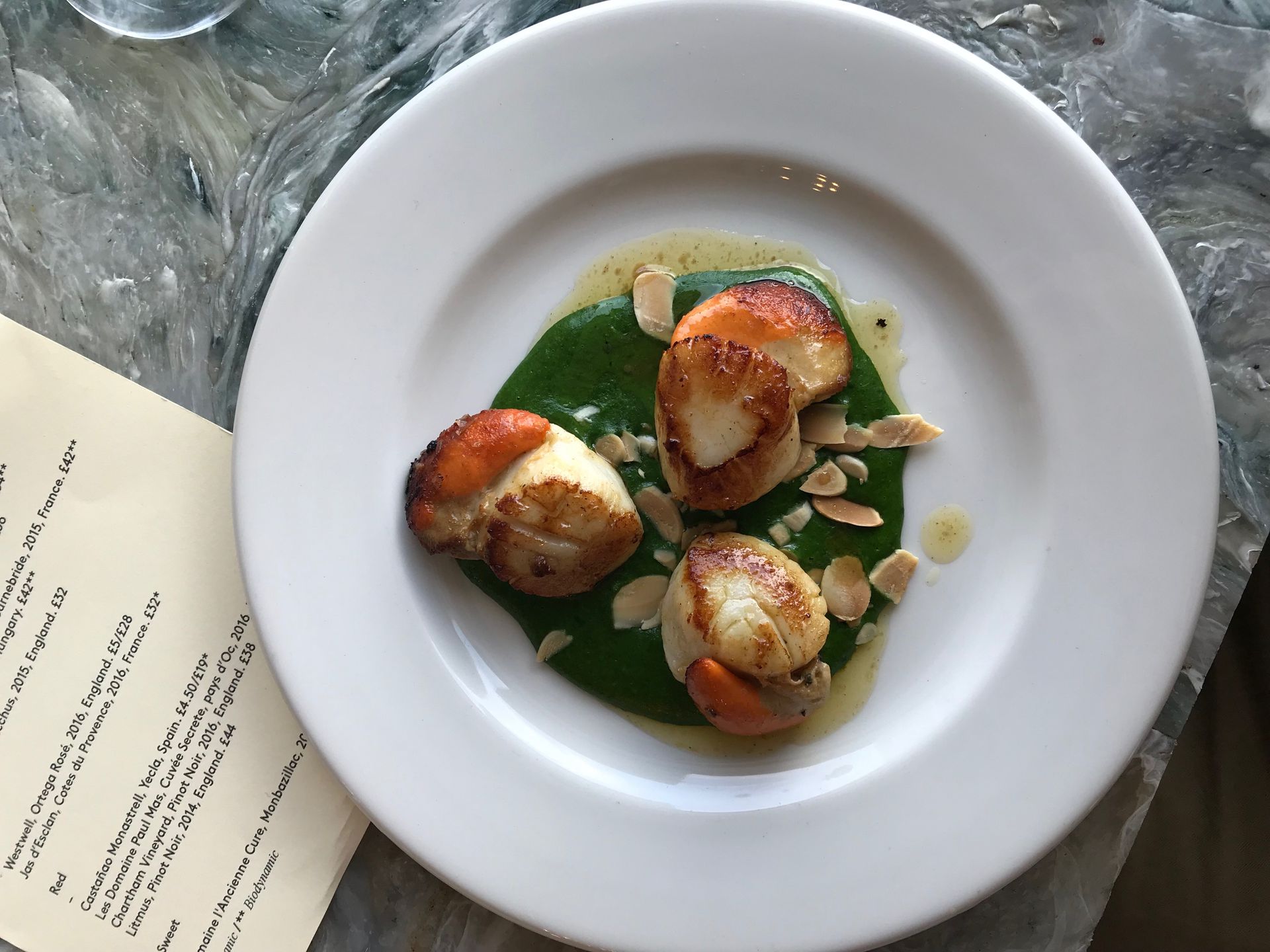 Scallops A Coghlan.jpeg