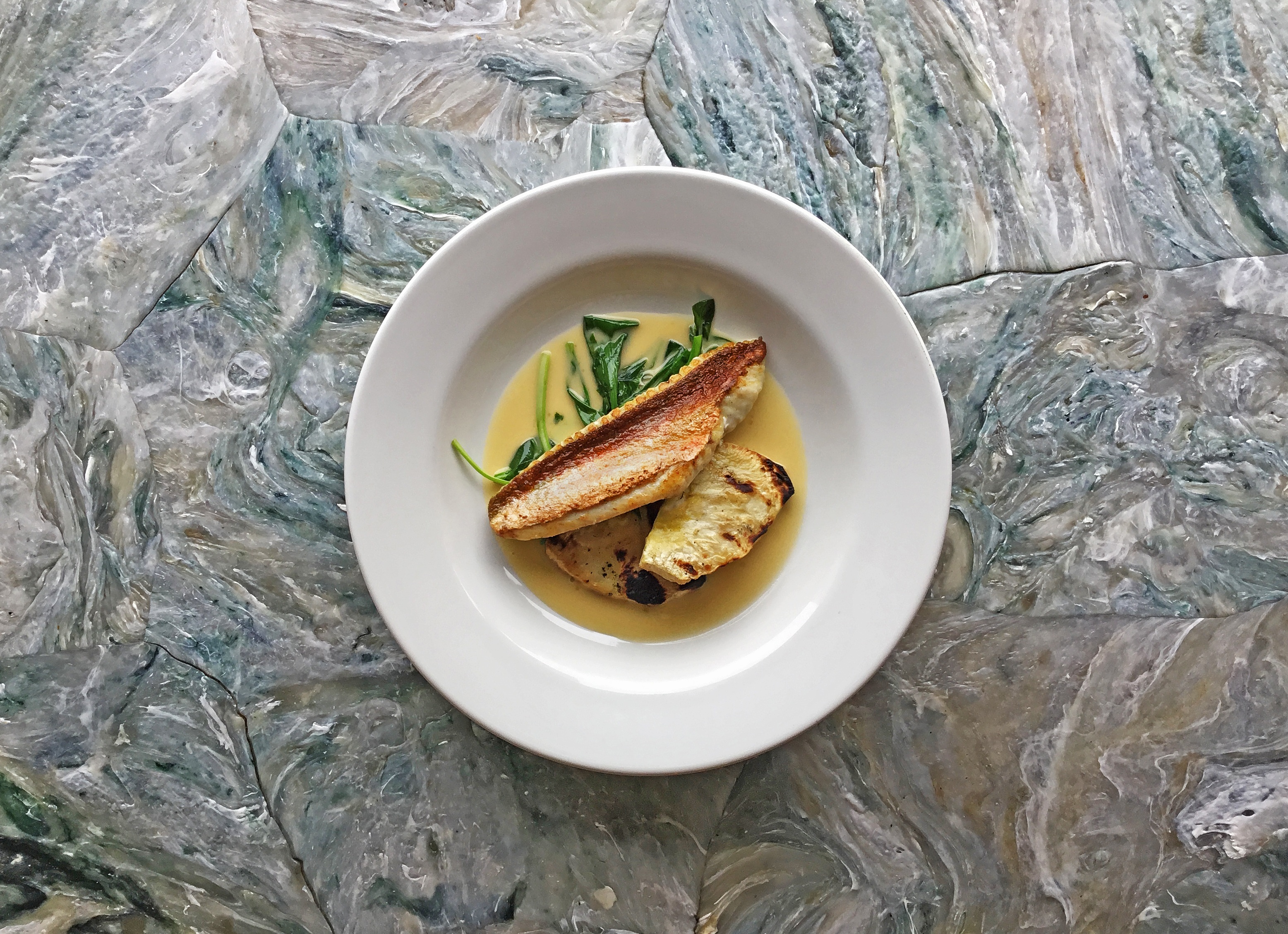 Gurnard, celeriac, oyster sauce.jpg
