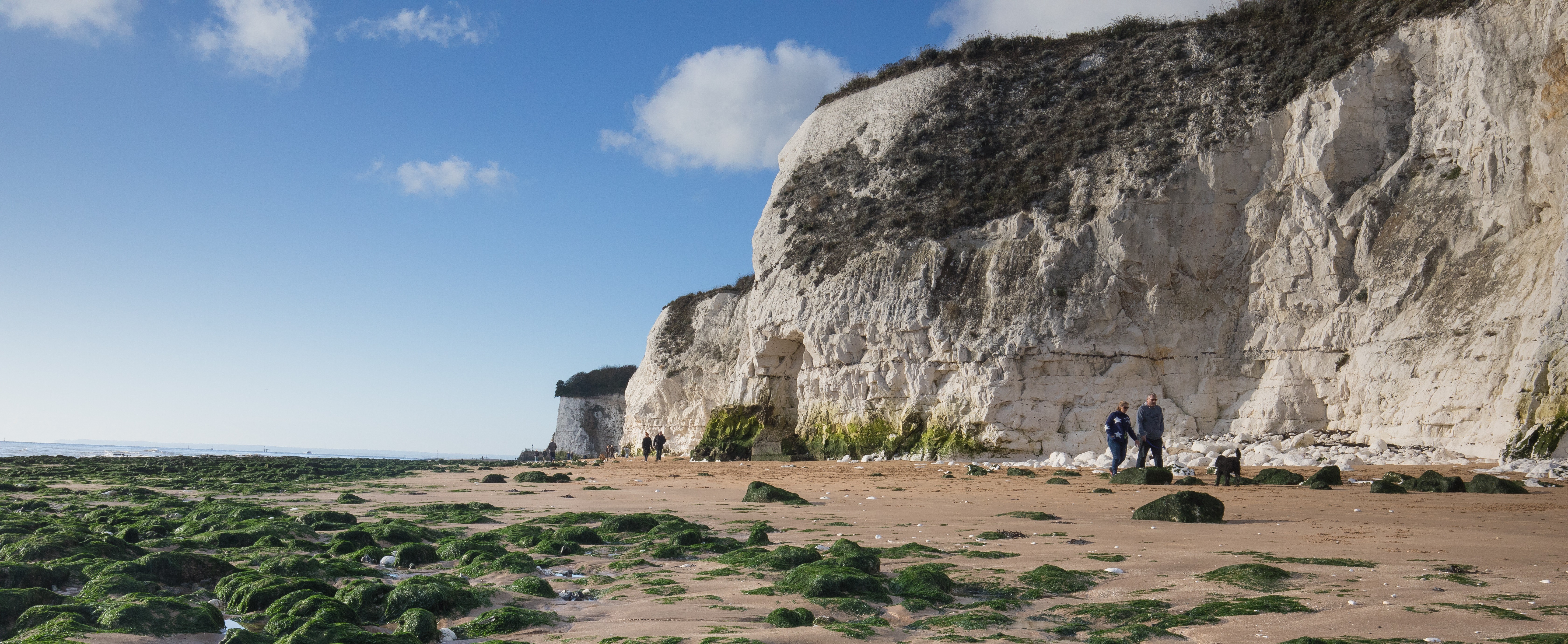 Looking from sand level at people walking with dog along beach and chalk cliffs in the background