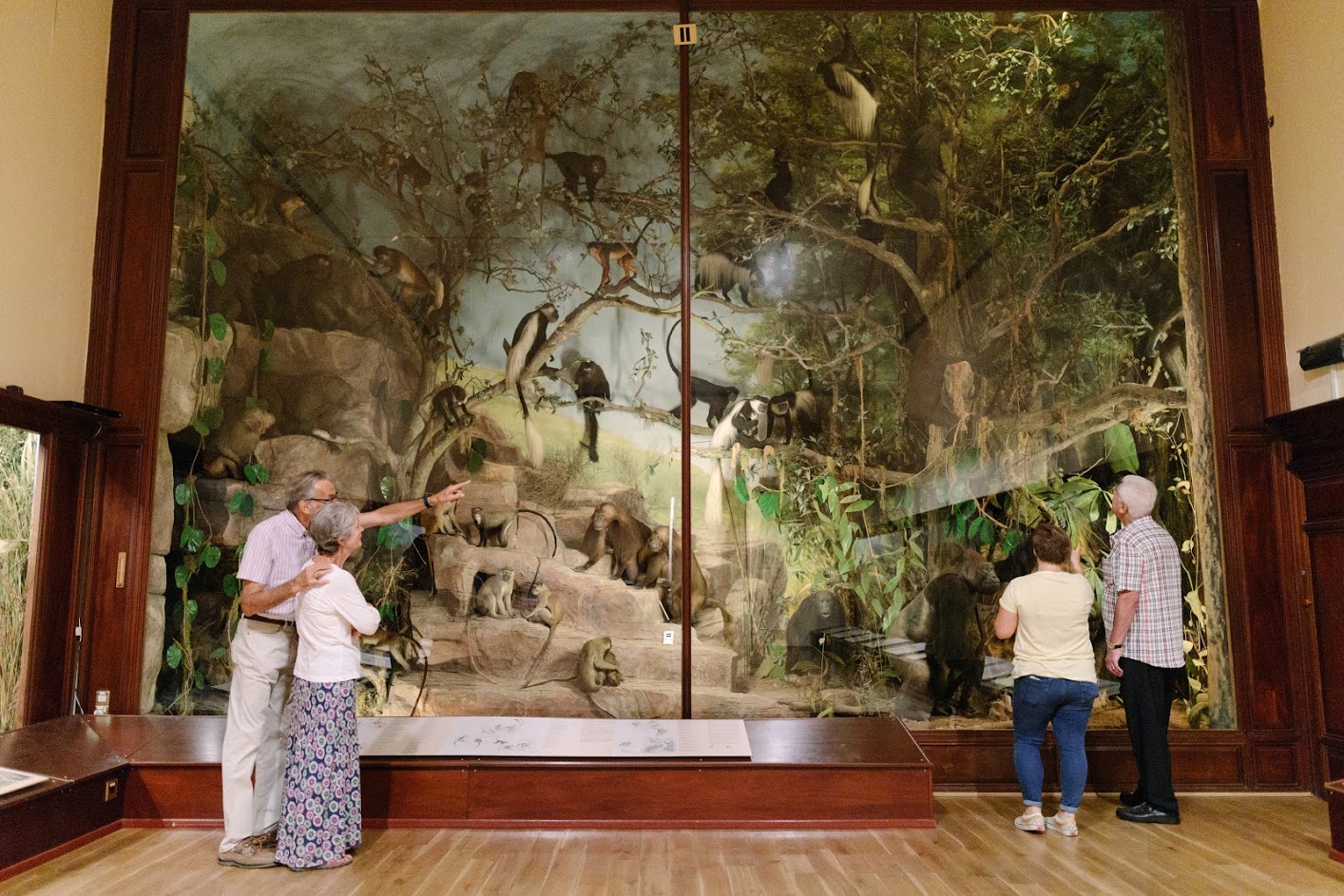 Quex Park Visit Thanet 29 Credit Thanet District Council