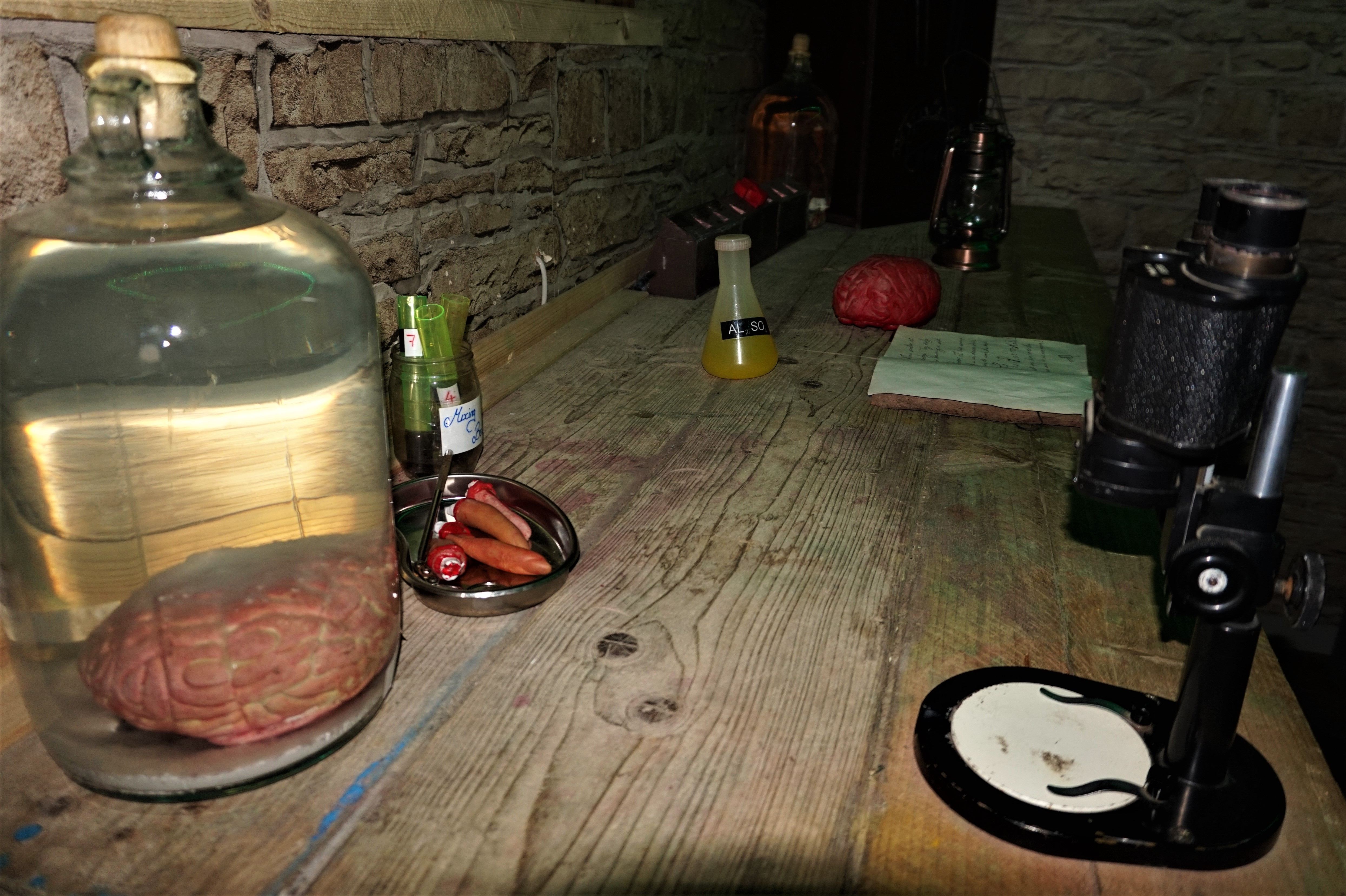 Frankenscape Room Photo 1