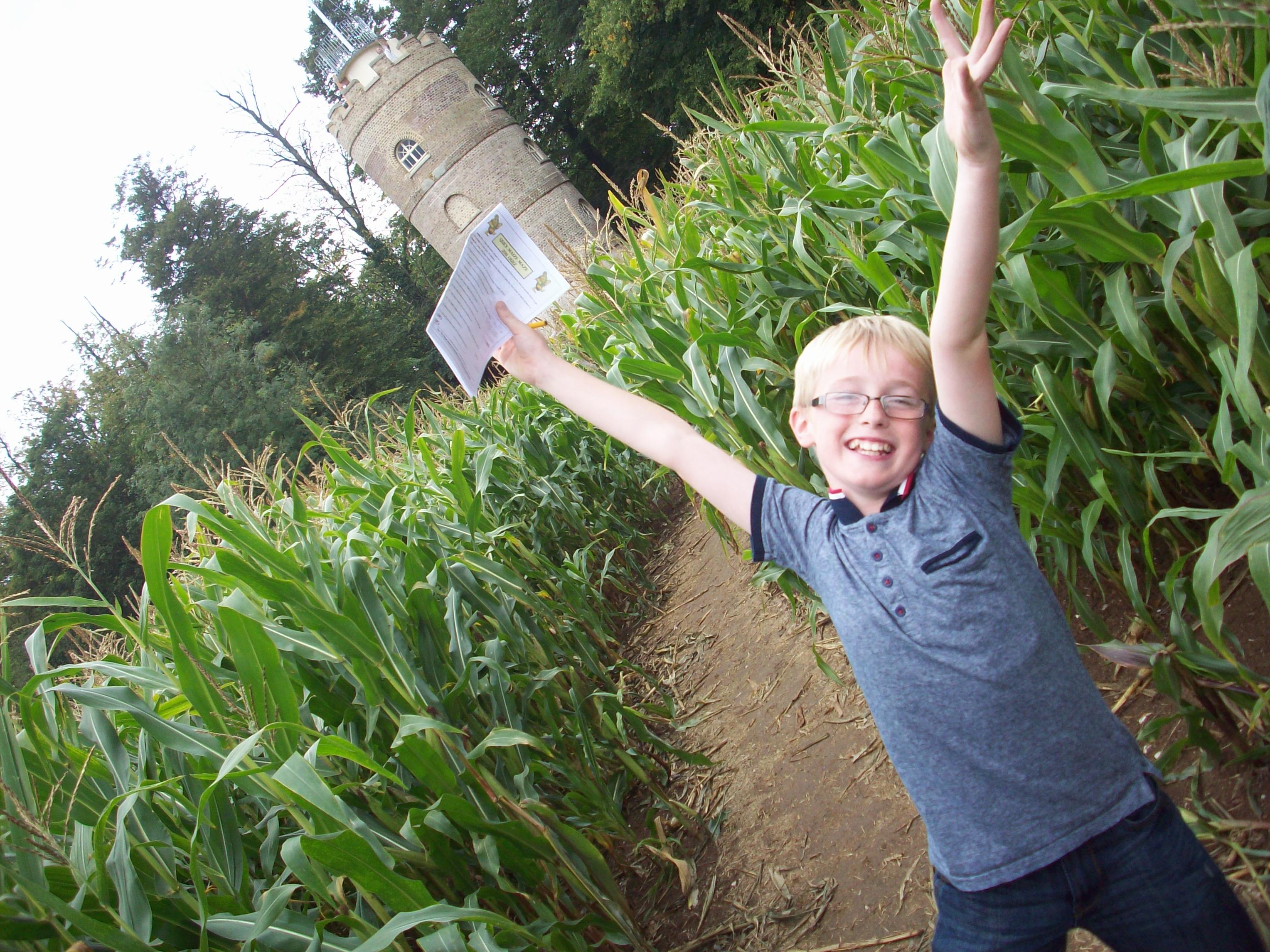 quex-park-maize-maze-1.jpg
