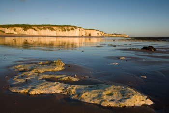 Botany Bay