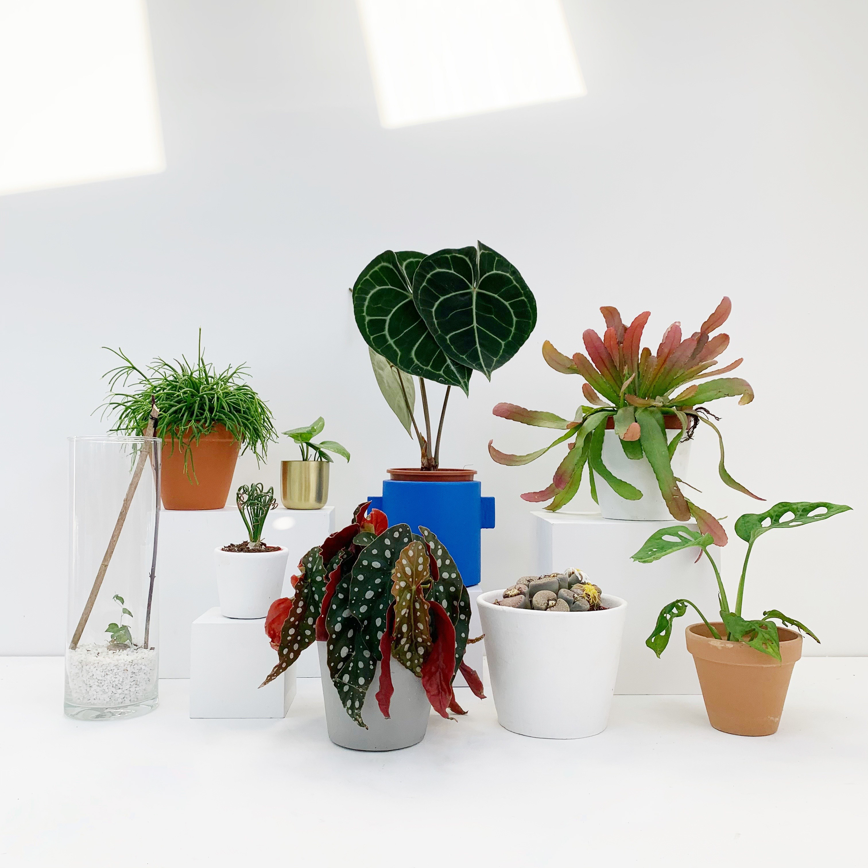 Mar  Mar 3F755F24 D48F 4E10 B366 267BFAC63BE5