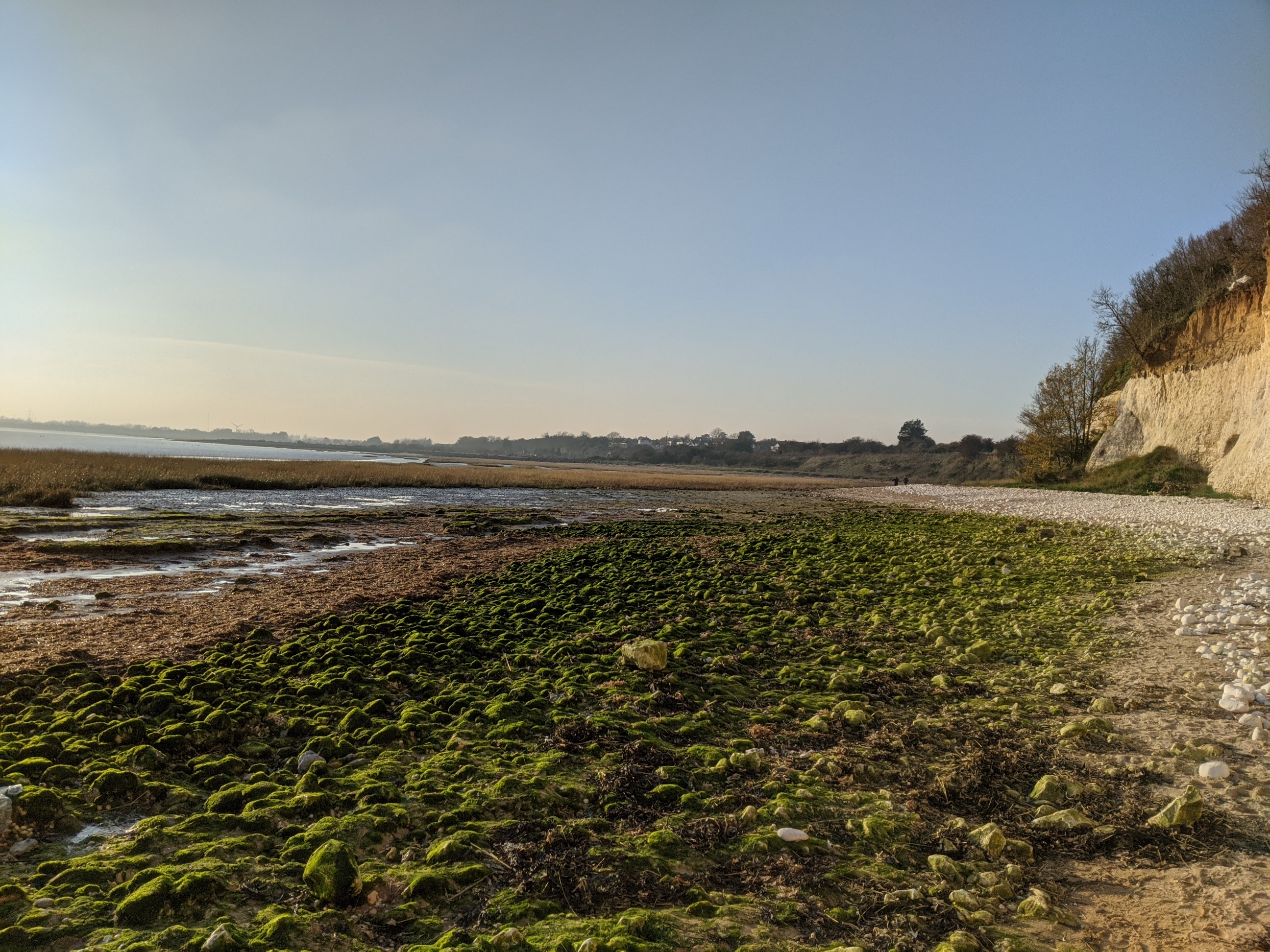 Pegwell Bay PXL 20201128 141014848