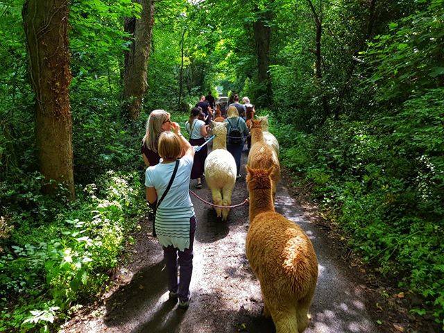 34015559 789949094530010 3208548528133505024 N