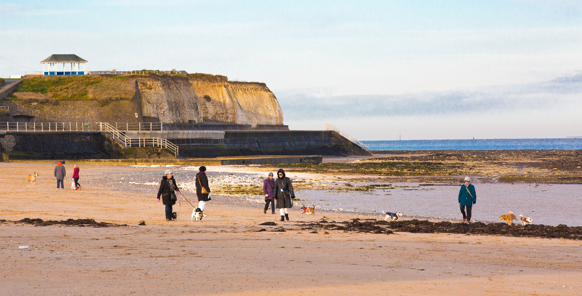 EDITED St Mildreds Bay Dog Walkers 3