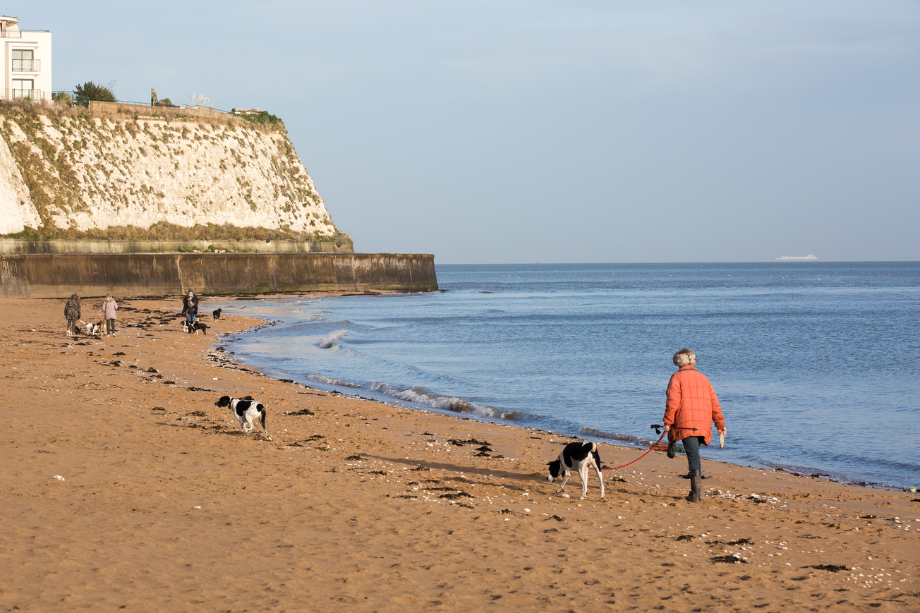 Dog Walking - Broadstairs 23Rd Jan 10