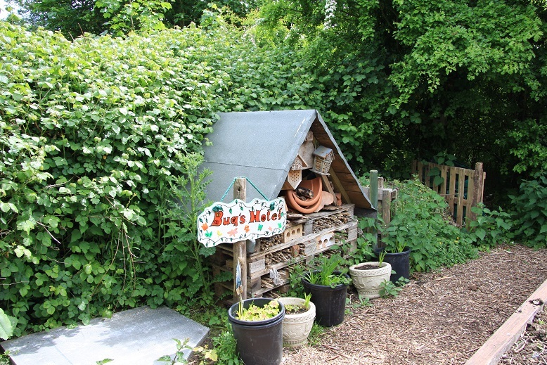 Monkton Nature Reserve - bugs hotel.jpg