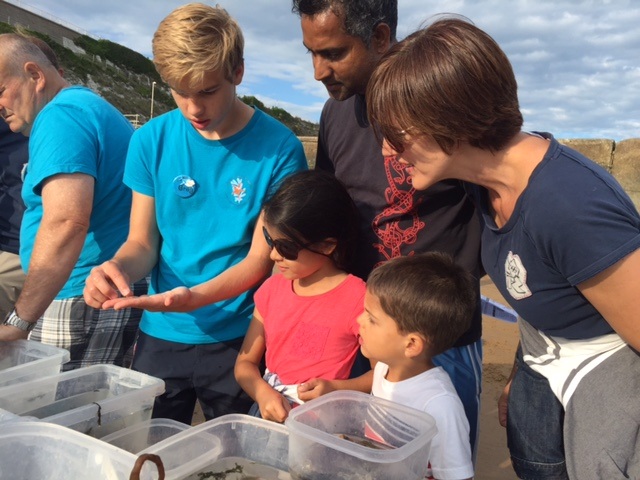 Seashore Safari.JPG (1)